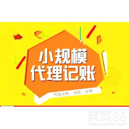 江夏代理記賬 小企業(yè)的財務管家，創(chuàng)業(yè)路上的智慧之選