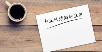 商丘企南針 商標(biāo)注冊與知識產(chǎn)權(quán)代理的專業(yè)護(hù)航者